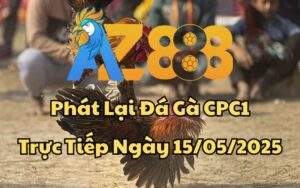 Phát Lại Đá Gà CPC1 Trực Tiếp Ngày 15/05/2025