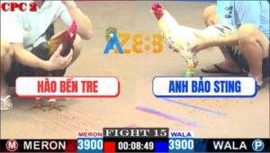 Trận 15 CPC2 9/5/2025 - Gà Bướm Anh Bảo Sting Phản Ăn 3 Đưa Biện Đi Xa