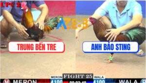 Trận 25 CPC2 23/5/2025 - Que Mặt Lọ Bảo Sting Không Có Chân Dứt Điểm