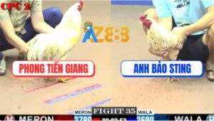 Trận 35 CPC2 23/5/2025 - Anh Phong Tiền Giang Và Anh Bảo Sting