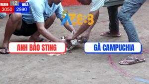 Trận 12 Anh Bảo Sting Và Campuchia - Bướm Hiệu Idol Phản Kèo Quá Hay