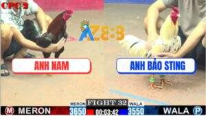 Trận 32 CPC2 1/6/2025 - Bướm Hiệu Anh Bảo Sting Ra Chân Quá Nghiệt