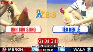 Trận 41 CPC2 1/6/2025 - Anh Bảo Sting Bị Gạt Giò Mất Hơn 1 Tỷ