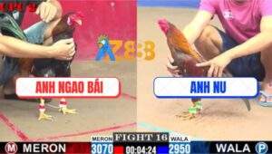 Trận 16 CPC2 25/7/2025 - Đám Gà Khét Anh Bảo Sting Bị Đá Chạy Bay Bồ