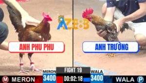 Trận 19 CPC3 5/7/2025 - Khét Cọp Anh Phu Phu Đang Thắng Thành Bại