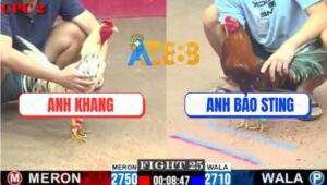 Trận 25 CPC2 2/7/2025 - Anh Bảo Sting Nài Gà Quá Khéo Kéo AE Vào Bờ