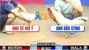 Trận 29 CPC2 27/7/2025 - Đúng 1 Cước Bướm Hiệu Bảo Sting Đá Úa Gãy Giò