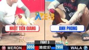 Trận 3 CPC3 26/7/2025 - Bướm Hiệu Bảo Sting Đá Chân Nào Dính Chân Đó