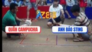 Trận 9 Bồ Ton Hon 6/7/2025 - Anh Bảo Sting Đụng Độ Với Anh Quân