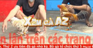 Trận 2 CPC5 30/10/2025 - Nhí Biện Ra Sân Trận Đầu Không Thuận Lợi