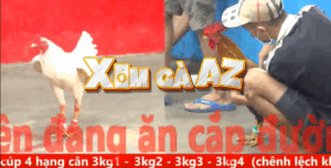 Trận 8 CPC5 30/10/2025 - Đông Pha Tung Cú Lửa Ra Đá Bo Như Xe Đụng