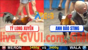 Trận 1 CPC5 23/10/2025 - Anh Tý Chùa Mát Tay Mở Bát Lụm Cái Xổ 100