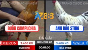 Trận 22 Ton Hon 10/10/2025 - Bảo Sting Hạ Anh Đuôn Giành Trọn 3 Điểm