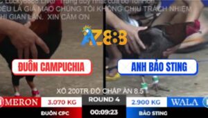 Trận 4 Ton Hon 10/10/2025 - Xám Chân Xanh Bảo Sting Sút 1 Phát Lụm Lúa