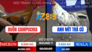 Trận 7 Ton Hon 10/10/2025 - Anh Đuôn Hạ Anh Mít Trà Cú Trong Nốt Nhạc