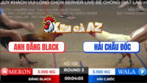 Trận 3 Ton Hon 2/11/2025 - Bảo Sting Thả Giùm Đăng Black Bị Đá Gãy Giò
