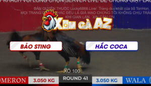 TRAN 41 TON HON 2112025