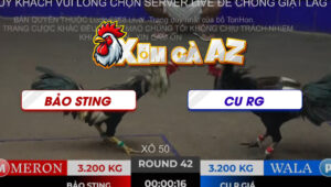 TRAN 42 TON HON 2112025