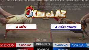 Tran 17 Ton Hon 2112025