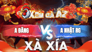 Trận 29 Bồ Xà Xía 30/12/2025 - Kiểm Cà Mau Không Cứu Nổi Chén Này