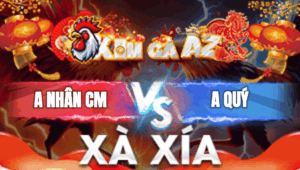 Trận 7 Bồ Xà Xía 31/12/2025 - Nhân Cà Mau Cắn Cưa Với Anh Quý