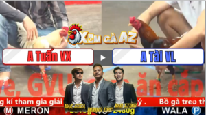 Trận 6 CPC5 29/12/2025