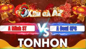 Trận 7 Tonhon 31/12/2025