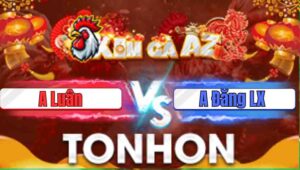 Trận 16 Tonhon 31/12/2025
