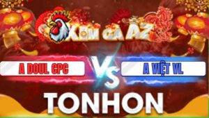 Trận 26 Tonhon 31/12/2025