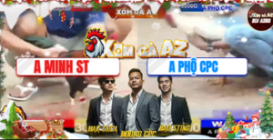 Trận 12 Bồ Tonhon 26/12/2025 - Điều Cọp Anh Minh Lý Có Chân Cúp Điện Phút 90