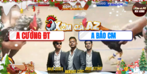 Trận 4 Bồ Tonhon 23/12/2025 - Cường Đồng Tháp Đưa Gà Cú Ra Hạ Gà Anh Bảo