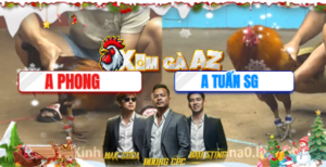 Trận 26 Bồ CPC4 23/12/2025 - Điều Anh Phong Đâm Cây Lưng Hạ Khét Anh Tuấn