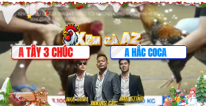 Trận 21 Bồ Tonhon 10/12/2025 - Tây Ba Chúc Dạy Hắc Coca Một Bài Học