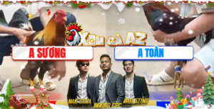 Trận 7 Bồ Tonhon 27/12/2025 - Điều Anh Toàn Nhảy Vài Chân Giết Chết Gà Xám