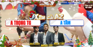 Trận 27 Bồ Tonhon 24/12/2025 - Gà Bông Chồng Độ Anh Trọng Có Chân Cứu Chủ