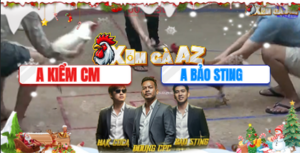 Trận 36 Bồ Xà Xía 19/12/2025 - Kiểm Cà Mau Chồng Độ Hạ Bảo Sting Đẳng Cấp