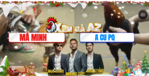 Trận 36 Bồ Tonhon 10/12/2025 - Cánh Gà Phú Quốc Nài Gà Quá Hay Cứu Chủ