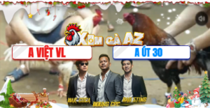 Trận 44 Bồ Tonhon 10/12/2025 - Chung Kết Giải Đấu Hôm Nay Thuộc Về Việt Vĩnh Long