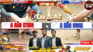 Trận 18 Tonhon 19/12/2025