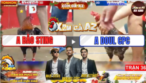 Trận 36 Tonhon 19/12/2025