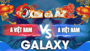 Trận 15 Bồ Galaxy 3/1/2026 - Gà Đỏ Có Chân Cúp Điện Chẻ Đôi Đối Thủ