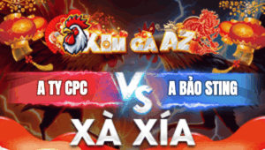 Trận 16 Bồ Xà Xía 1/1/2026 - Bảo Sting Gom Sạch Bồ Xà Xía Trận Này
