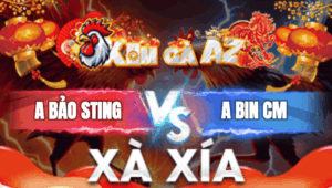 Trận 4 Bồ Xà Xía 1/1/2026 - Bảo Sting Ra Sân Độ Gà Xổ 1 Tỷ