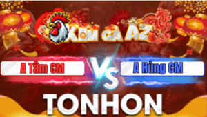 Trận 9 Tonhon 9/1/2026