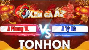 Trận 11 Tonhon 7/1/2026