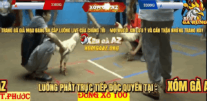 Trận 10 Bồ Thường Phước 17/1/2026 - 2 Con Cọp Đụng Nhau Và Cái Kết