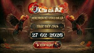 XOMGAAZ Xem Full Video Da Ga CPC4 Ngay 27022026