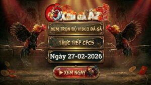 XOMGAAZ Xem Full Video Da Ga CPC5 Ngay 27022026 1