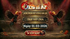 XOMGAAZ Xem Full Video Da Ga CPC4 Ngay 0103022026